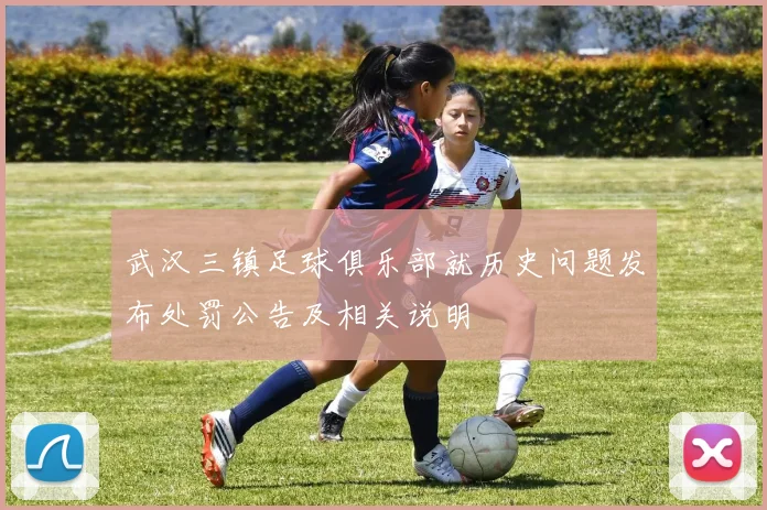 武汉三镇足球俱乐部就历史问题发布处罚公告及相关说明