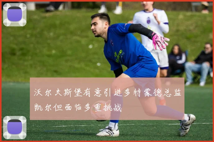 沃尔夫斯堡有意引进多特蒙德总监凯尔但面临多重挑战
