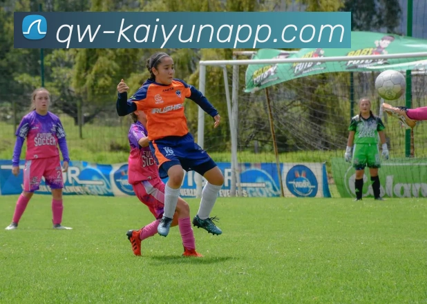 开云体育APP 体育赛事宣传图